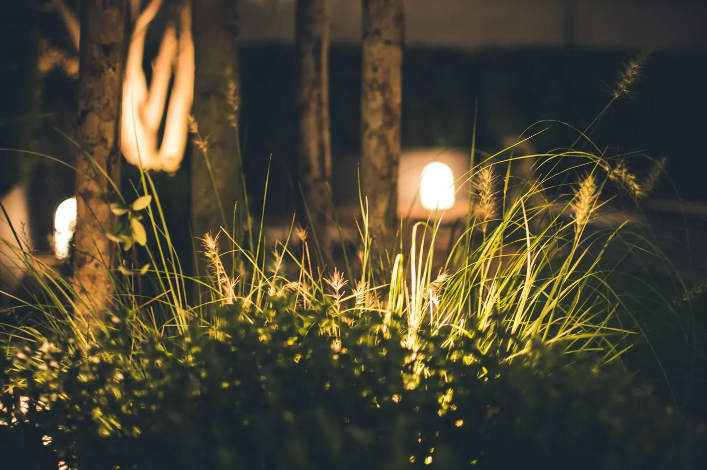 UAE villa garden at night with uplit palms, path lights and a warmly lit terrace designed by Absher Landscaping