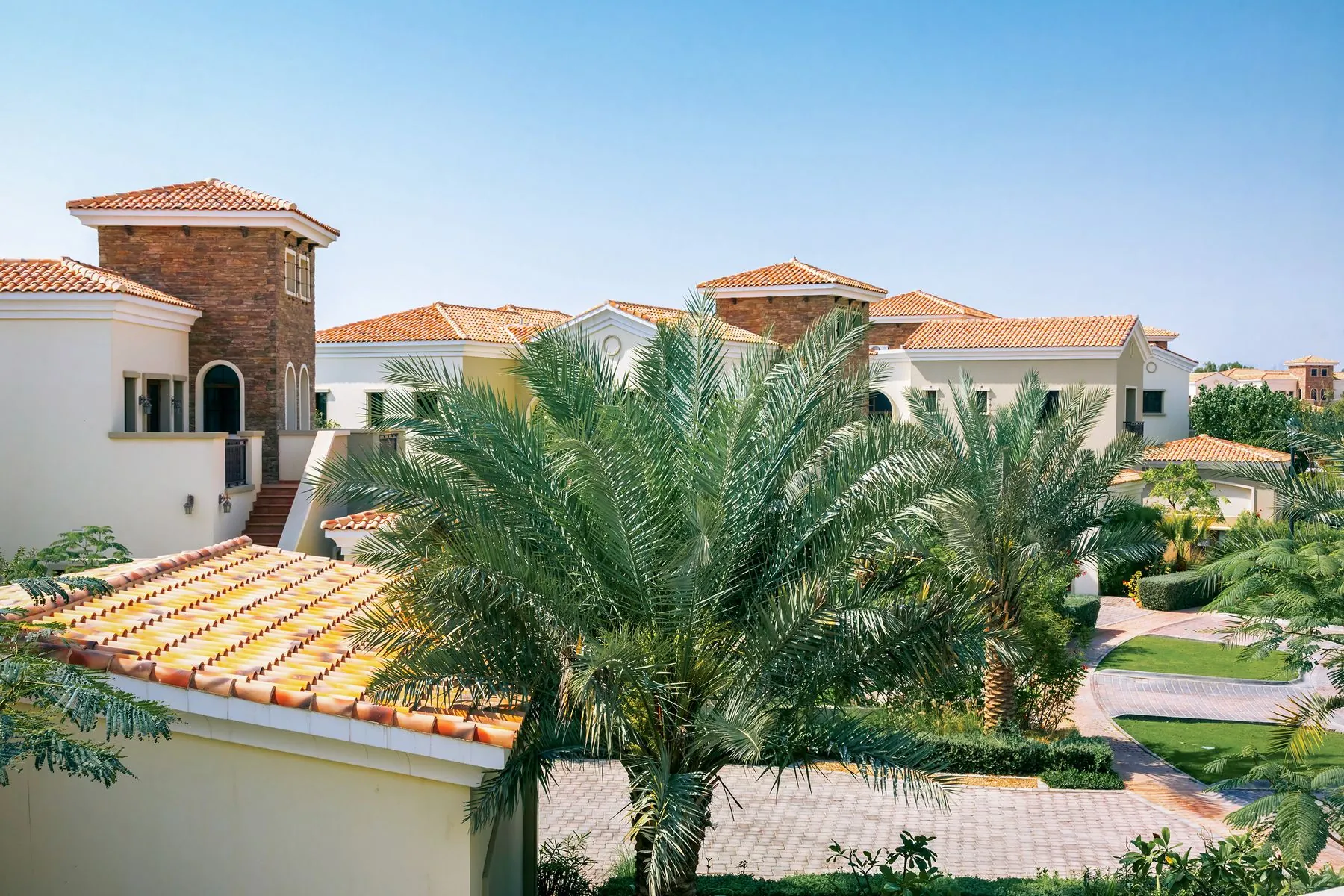 Beachfront villas on Palm Jumeirah, Dubai, with mature date palms and lush boundary planting maintained by Absher Landscaping