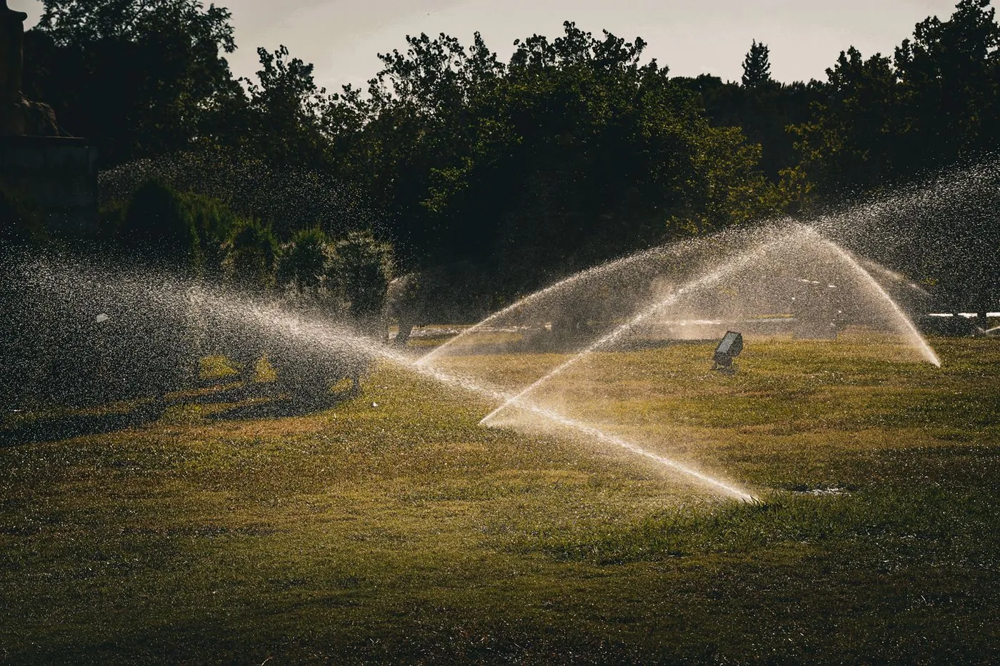 Pop-up sprinklers watering a green villa lawn at dawn in the UAE, installed by Absher Landscaping