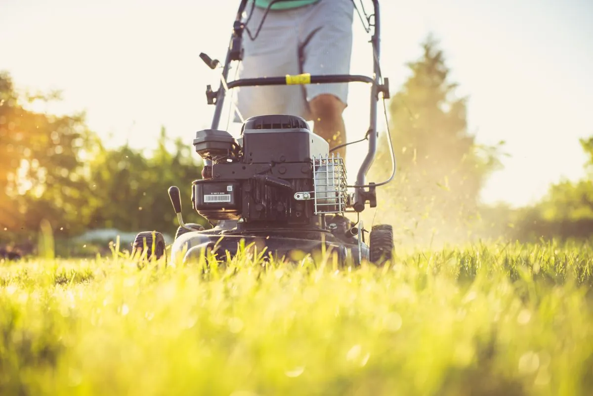 Absher grounds team mowing a corporate lawn at a Dubai Silicon Oasis business park